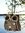 Sauna owl
