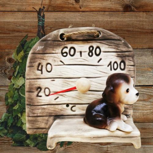 Puppy sauna thermometer