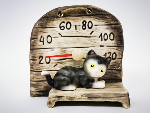 Kitten sauna thermometer